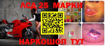 гашик Кимры