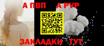 гашик Кимры