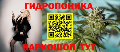 Альфа ПВП Кингисепп