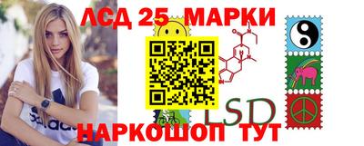 гашик Кимры