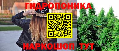 Альфа ПВП Кингисепп