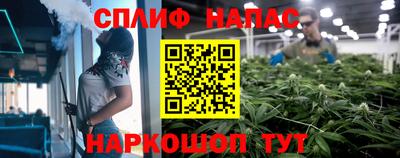 Альфа ПВП Кингисепп