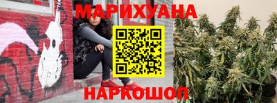 Альфа ПВП Кингисепп