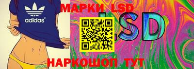 гашик Кимры