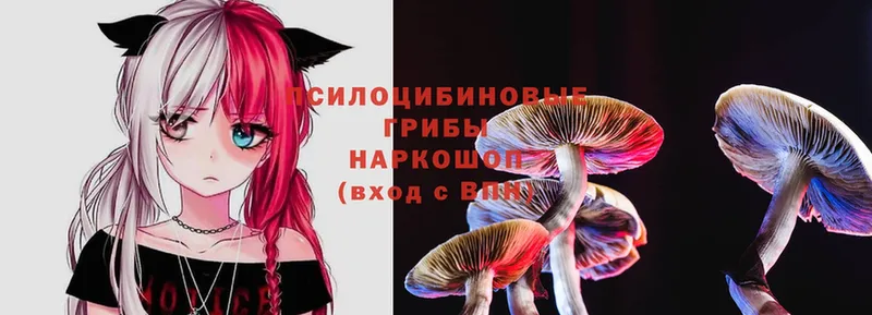 Галлюциногенные грибы Magic Shrooms  Северск 