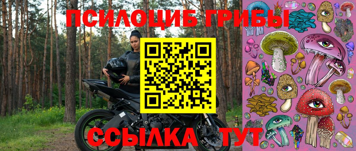 Галлюциногенные грибы мицелий  где продают наркотики  Северск  Галлюциногенные грибы Cubensis 